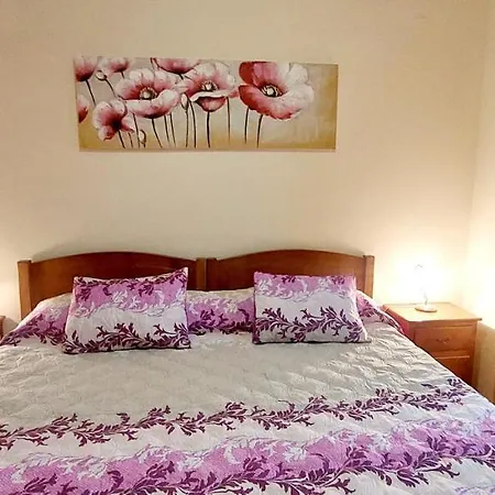 アパート Apartamentos Villa ポンタ・ド・ソル