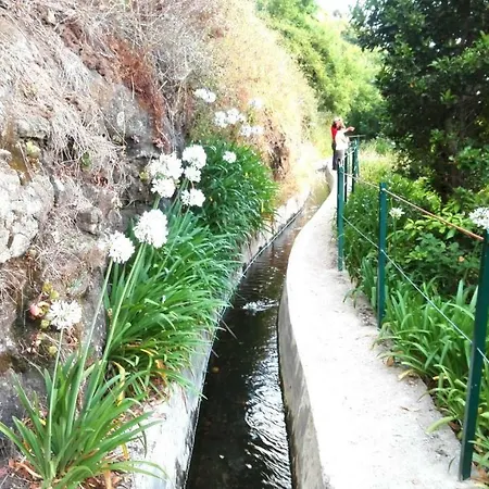 Apartamentos Villa *