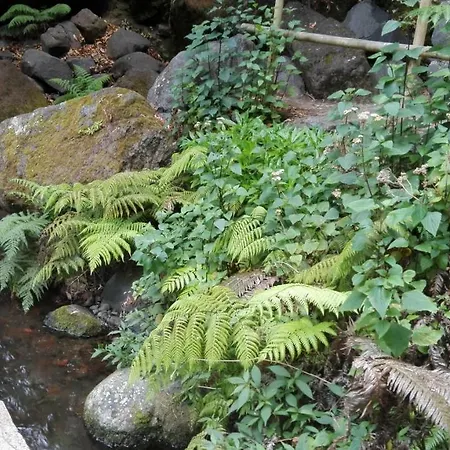 Apartamento Apartamentos Villa